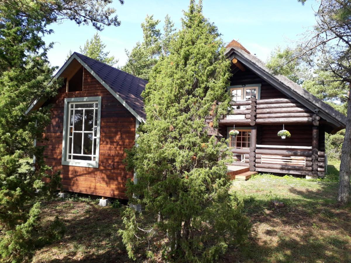 Paehkli Seaside Cottage With Cozy Outdoor Patio Koiguste Esterno foto